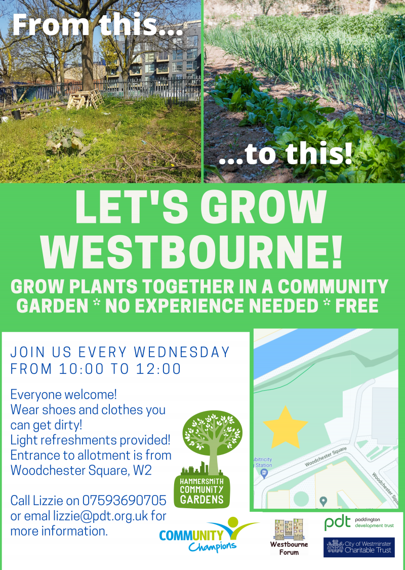 LET'S GROW WESTBOURNE!

GROW PLANTS TOGETHER IN A COMMUNITY GARDEN
* NO EXPERIENCE NEEDED * FREE

JOIN US EVERY WEDNESDAY FROM 10:00 TO 12:00
Everyone welcome!

Wear shoes and clothes you can get dirty!

Light refreshments provided!

Entrance to allotment is from Woodchester Square, W2

Call Lizzie on 07593690705 or emal lizzie@pdt.org.uk for more information.