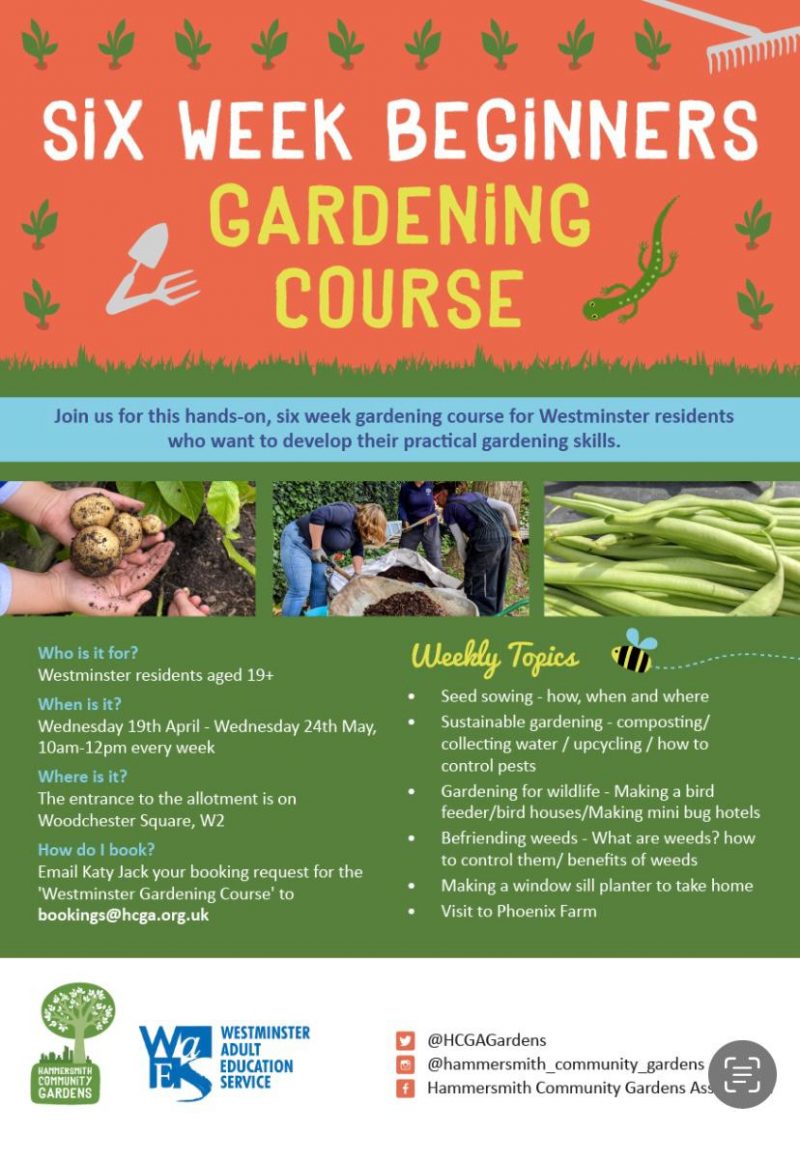 SIX WEEK BEGINNERS GARDENINGI COURSE
Join us for this hands-on, six week gardening course for Westminster residents who want to develop their practical gardening skills. 

Who is it for?
Westminster residents aged 19+

When is it?
Wednesday 19th April - Wednesday 24th May, 10 am - 12 pm every week
 
Where is it?
The entrance to the allotment is on Woodchester Square, W2

How do I book?
Email Katy Jack your booking request for the 'Westminster Gardening Course' to bookings@hcga.org.uk

Weekly Topics
• Seed sowing - how, when and where
• Sustainable gardening - composting/ collecting water / upcycling / how to control pests
• Gardening for wildlife - Making a bird feeder / bird houses / Making mini bug hotels
• Befriending weeds - What are weeds? how to control them / benefits of weeds
• Making a window sill planter to take home
• Visit to Phoenix Farm 

WESTMINSTER ADULT EDUCATION SERVICE 
Hammersmith Community Gardens Association
	twitter: 	@HCGAGardens
				@hammersmith_community_gardens
	Facebook: 	Hammersmith Community Gardens Association